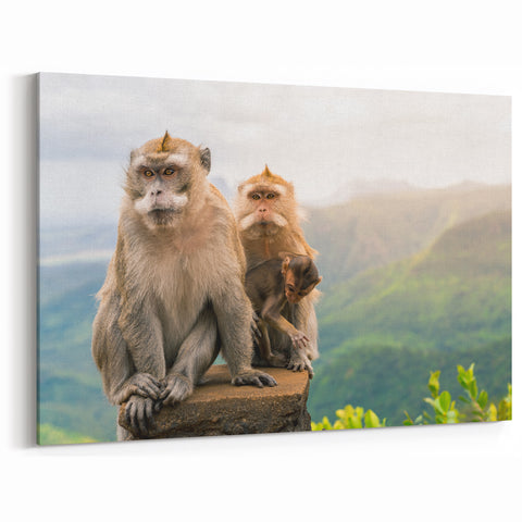 Mauritius Wildlife Scene - Monkeys in Nature - African Island Art Print