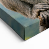 Mauritius Wildlife Scene - Monkeys in Nature - African Island Art Print