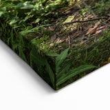 Scenic Bangladesh Boating Landscape - Beautiful Asian Nature Wall Art