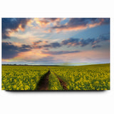 Golden Fields at Dusk - Tranquil Bangladeshi Countryside Wall Art