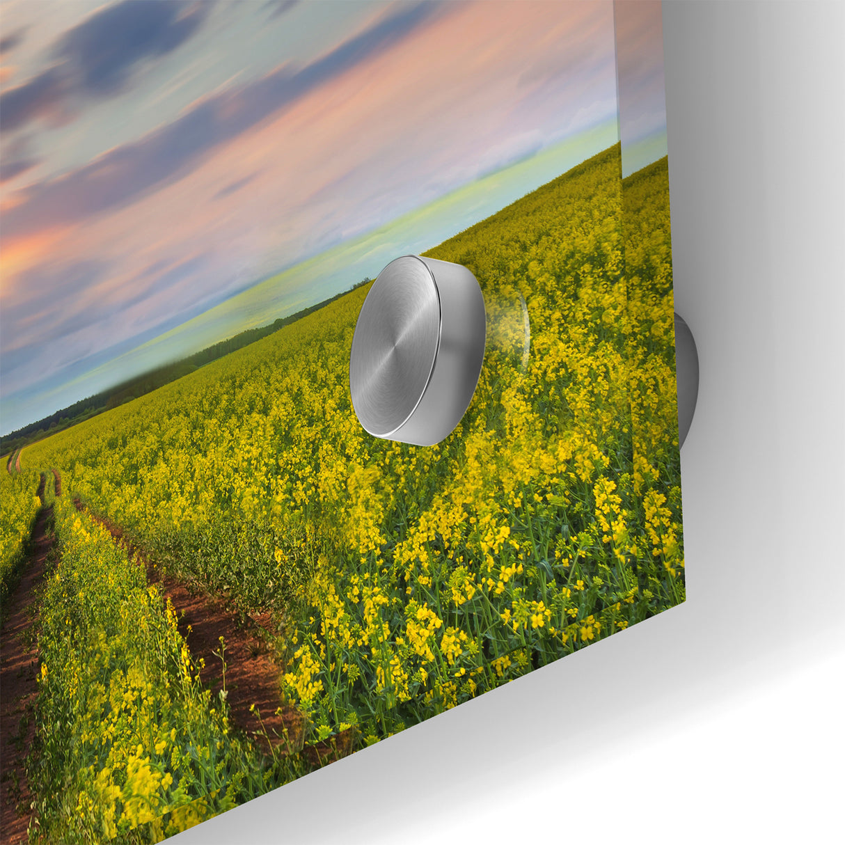 Golden Fields at Dusk - Tranquil Bangladeshi Countryside Wall Art
