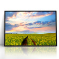 Golden Fields at Dusk - Tranquil Bangladeshi Countryside Wall Art
