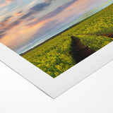 Golden Fields at Dusk - Tranquil Bangladeshi Countryside Wall Art