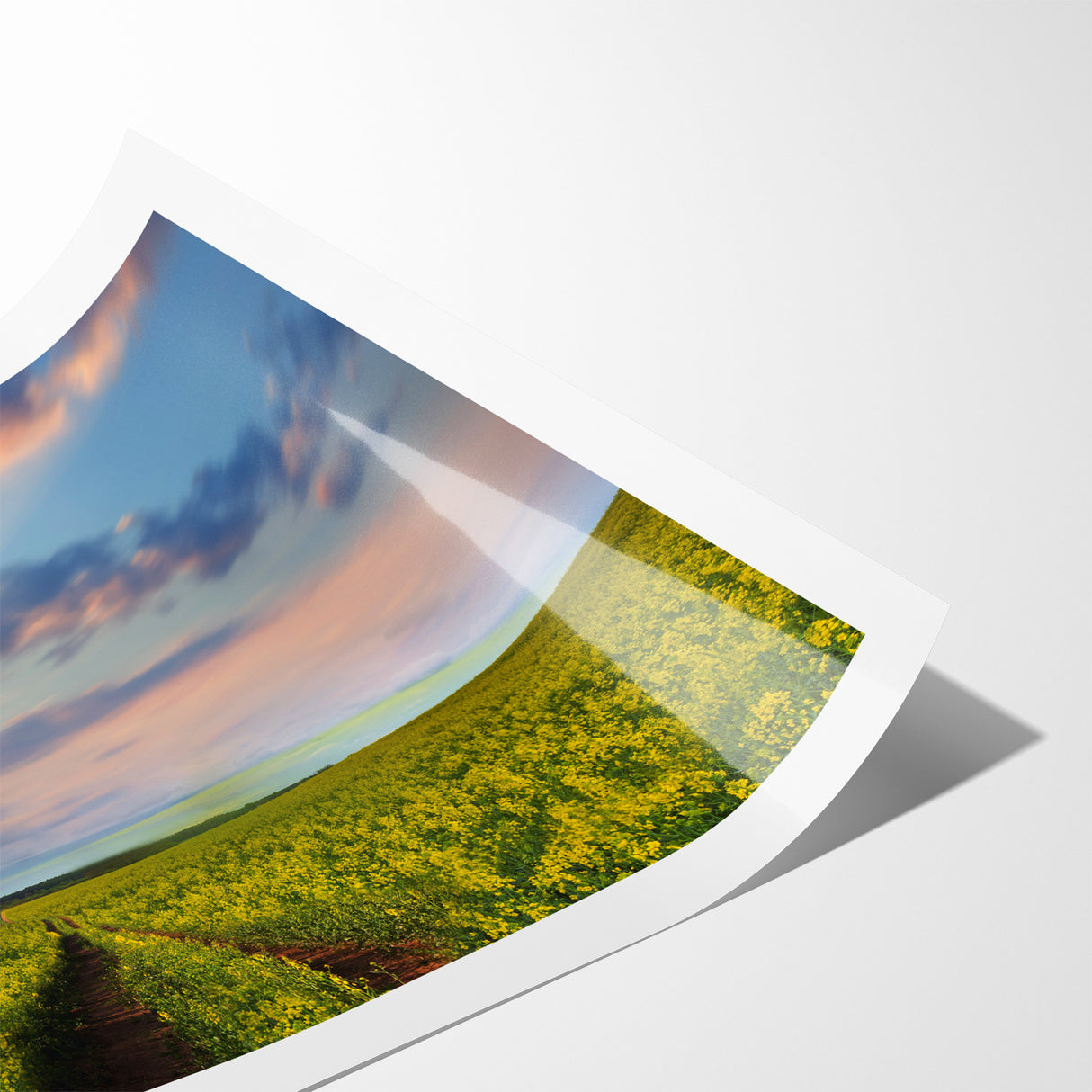 Golden Fields at Dusk - Tranquil Bangladeshi Countryside Wall Art