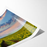 Golden Fields at Dusk - Tranquil Bangladeshi Countryside Wall Art