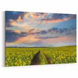 Golden Fields at Dusk - Tranquil Bangladeshi Countryside Wall Art