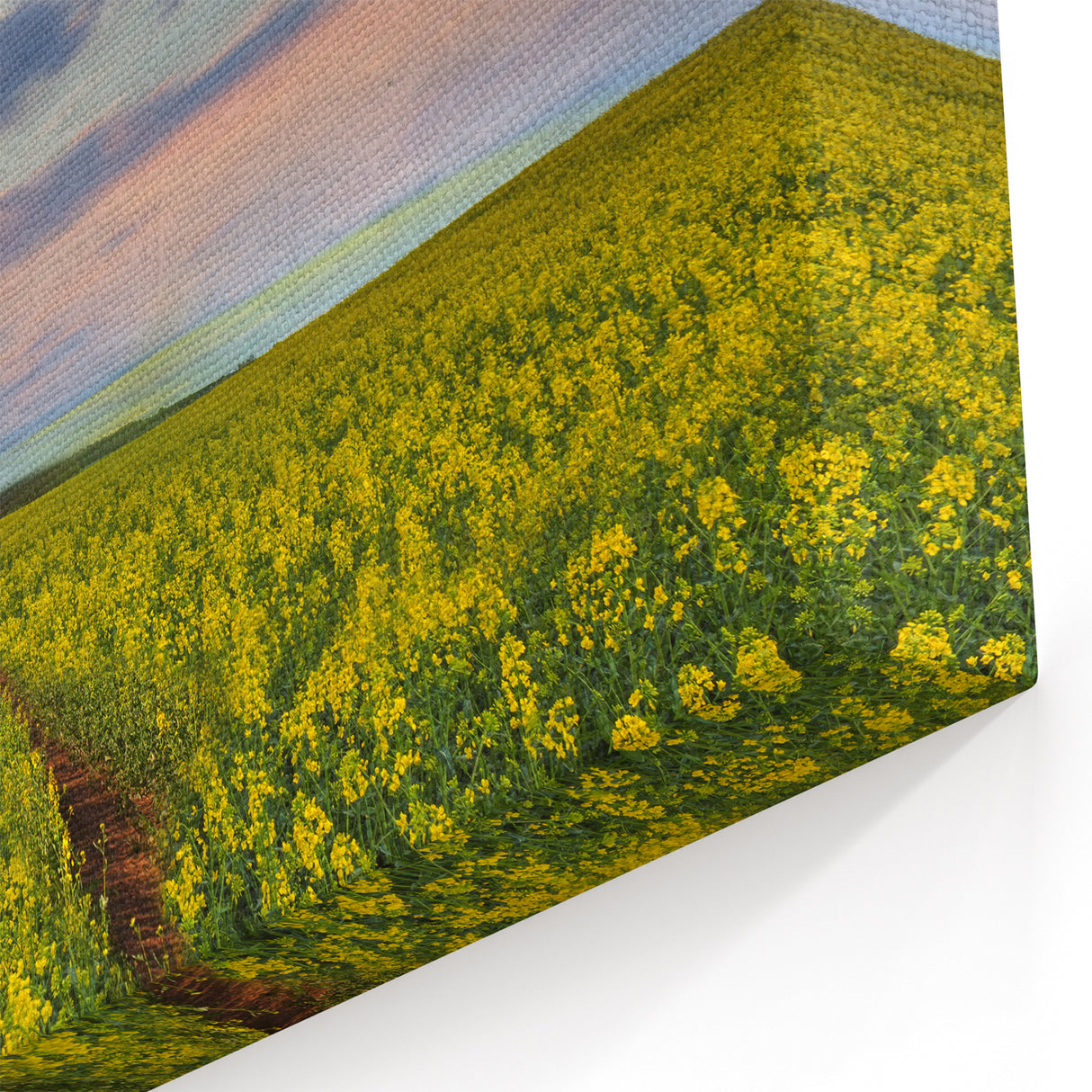 Golden Fields at Dusk - Tranquil Bangladeshi Countryside Wall Art