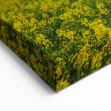 Golden Fields at Dusk - Tranquil Bangladeshi Countryside Wall Art