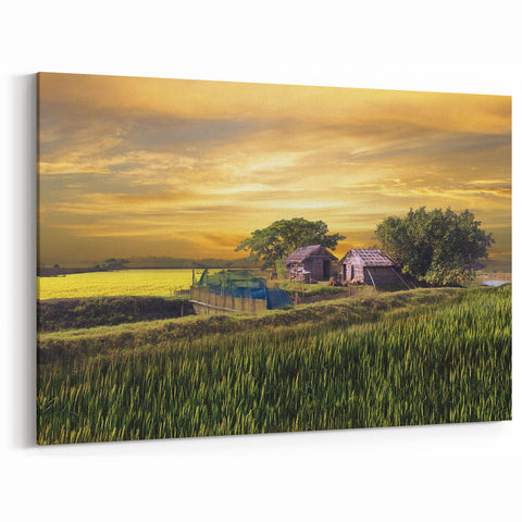 Golden Fields and Village Huts - Peaceful Bangladeshi Countryside Art