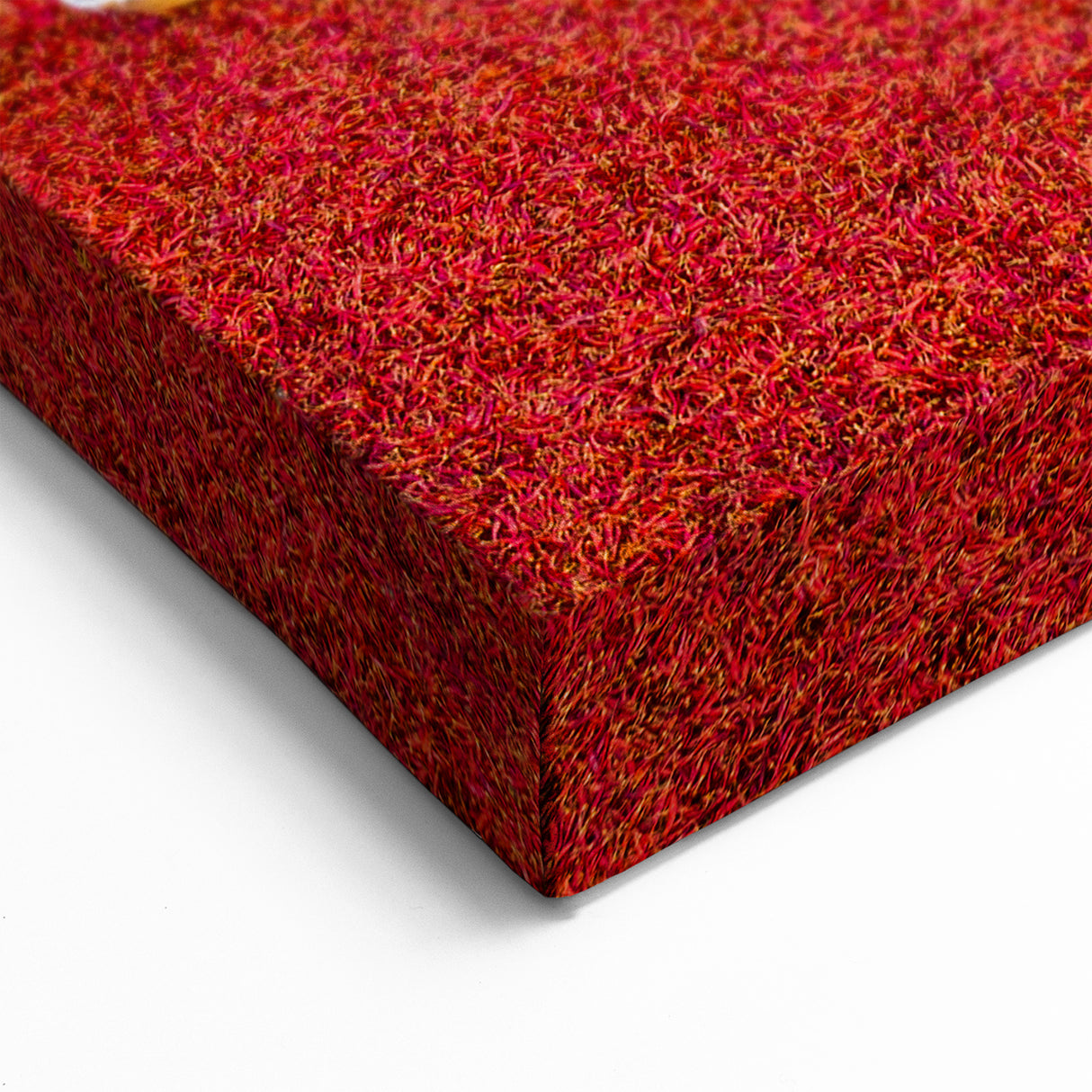 Vibrant Bangladesh Chili Harvest - Colorful Cultural Canvas Wall Art