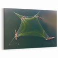 Traditional Fishing Nets of Bangladesh - Aerial Scenic Canvas Wall Art