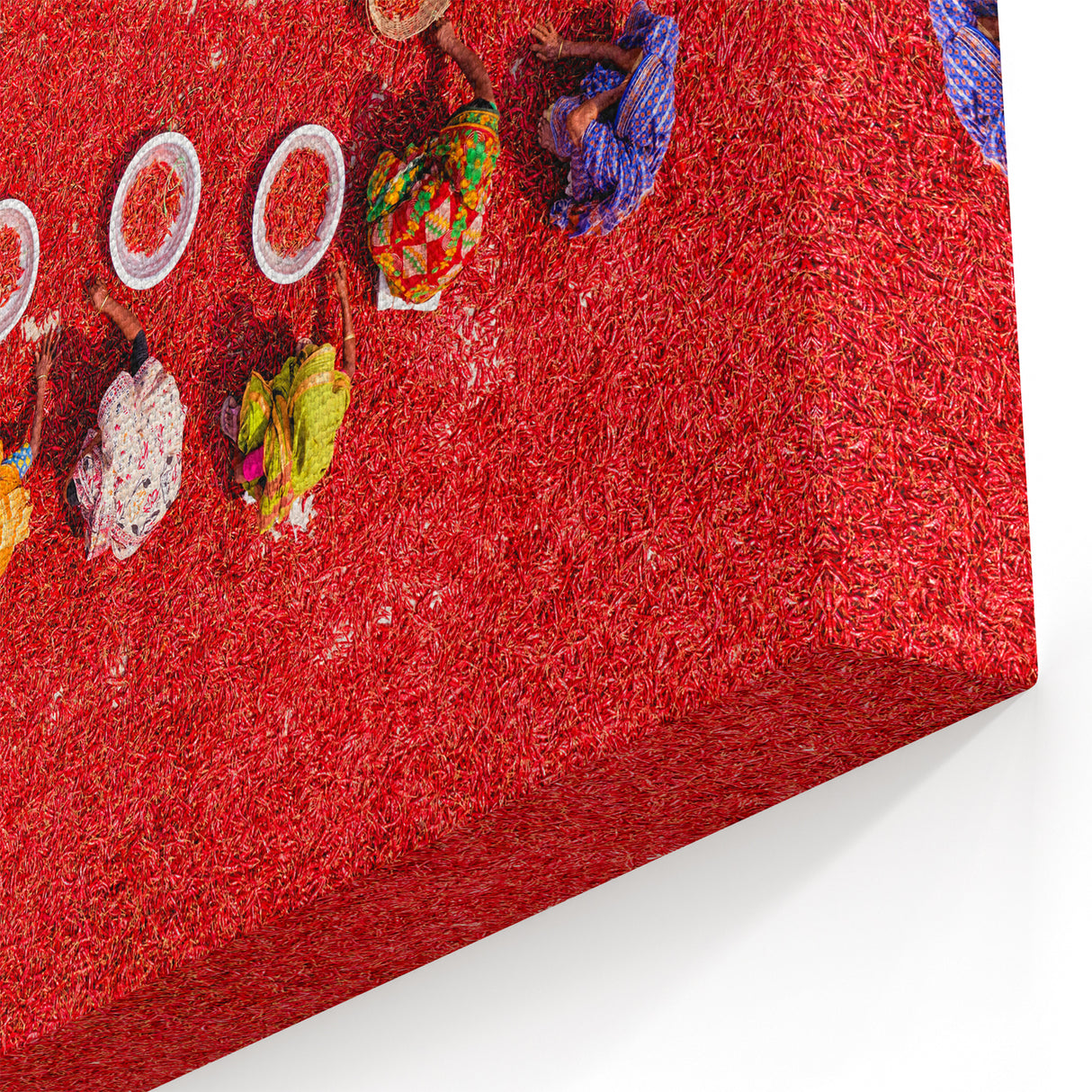 Colorful Chili Harvest in Bangladesh - Vibrant Cultural Canvas Wall Art