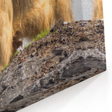 Majestic Bhutan Takin Wall Art - Bhutan Scenic Prints for Home Decor