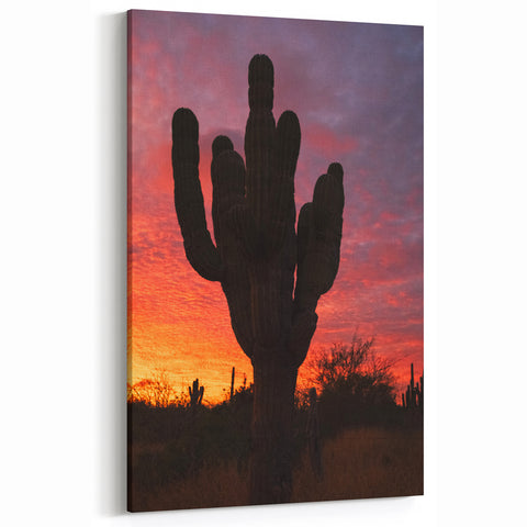 Sunset in Baja California Wall Art – Silhouette Cactus Desert Print