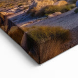 Baja California Sur Night Sky Art - Starry Mexico Landscape - Scenic Wall Decor