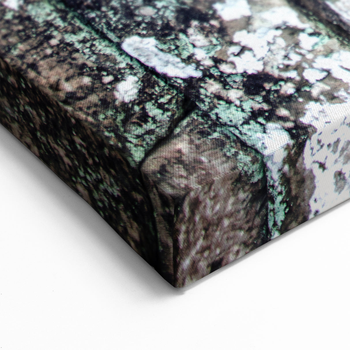 Khmer Culture Artwork - Young Monk in Ancient Temple