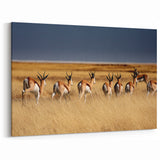 Majestic Namibia Wall Art - African Scenery Prints & Namibian Wildlife Art