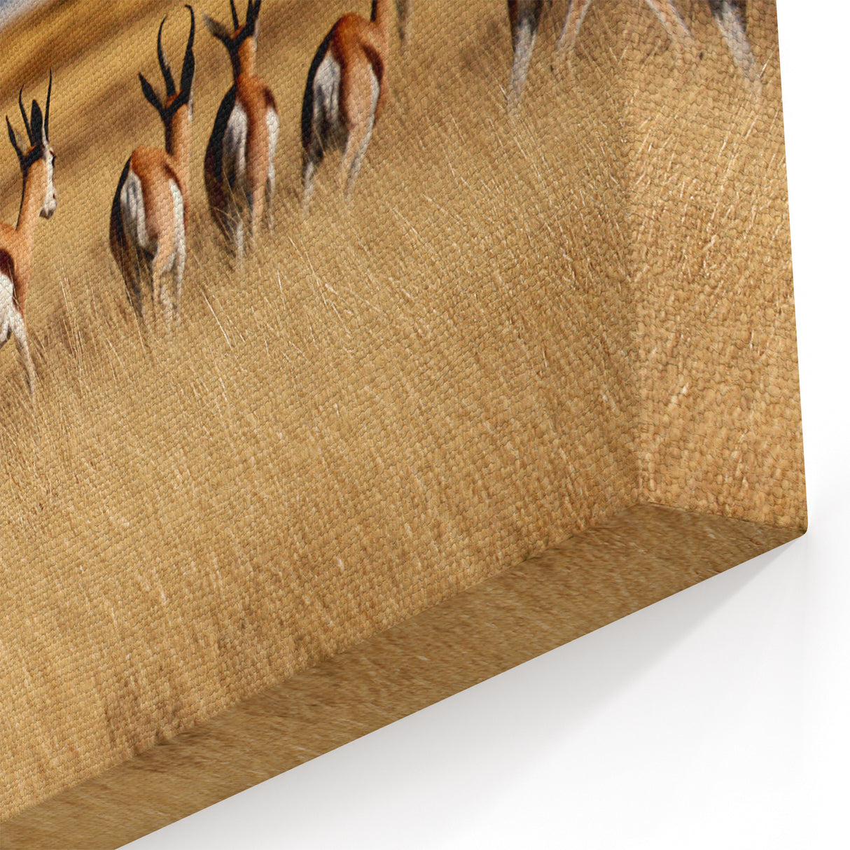 Majestic Namibia Wall Art - African Scenery Prints & Namibian Wildlife Art