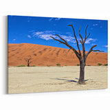 Vivid Namibia Canvas Art - African Desert Wall Art & Namibian Landscape