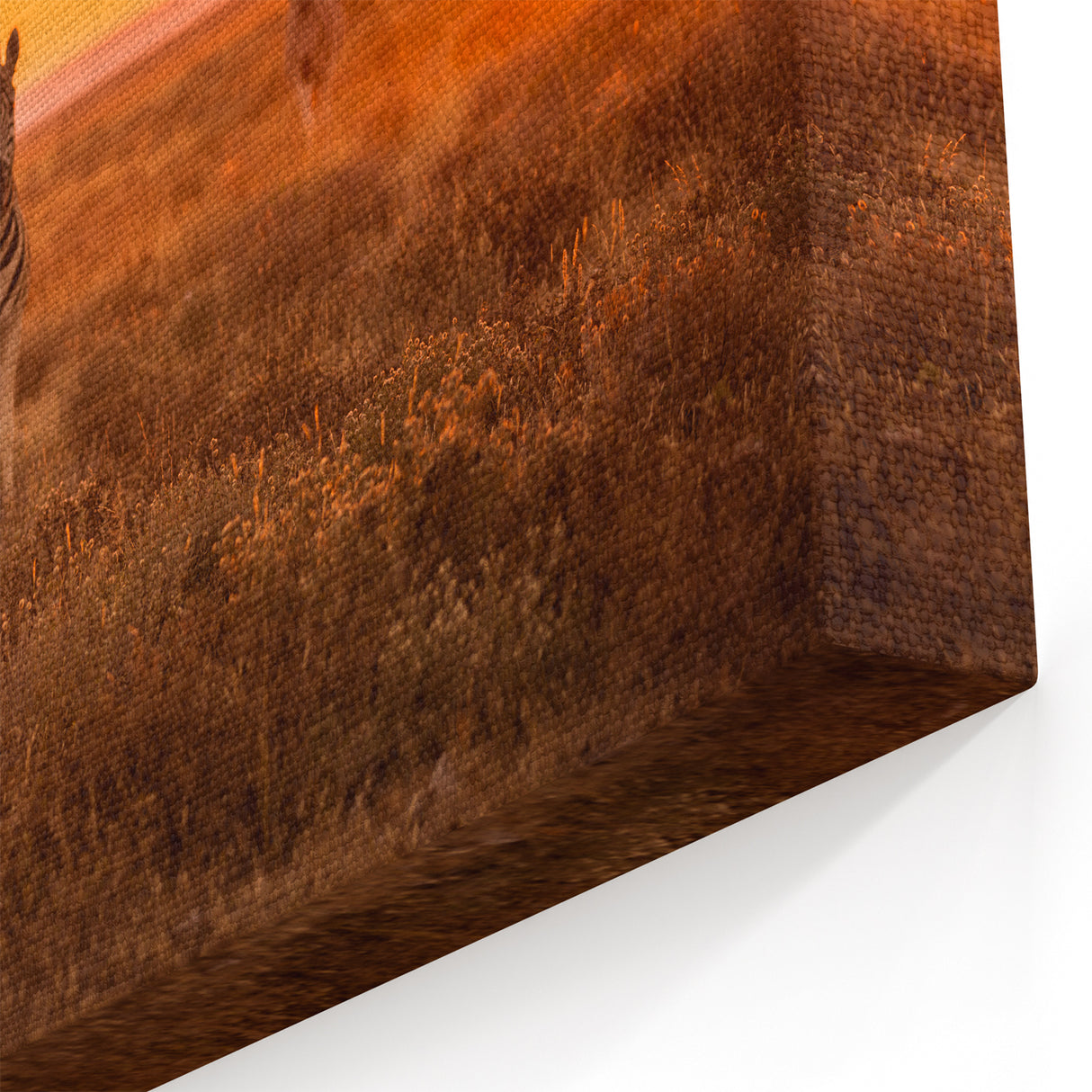Sunset Namibia Wall Art - African Scenery Prints & Zebra Wildlife Art