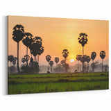 Cambodia Scenic Views - Palm Trees at Sunrise Over Rice Fields