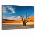 Dramatic Namibia Wall Art - African Desert Scenery & Landscape Prints