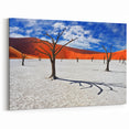 Striking Namibia Wall Art - African Desert Landscape & Photography Prints