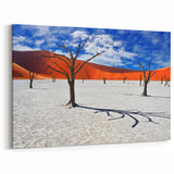 Striking Namibia Wall Art - African Desert Landscape & Photography Prints