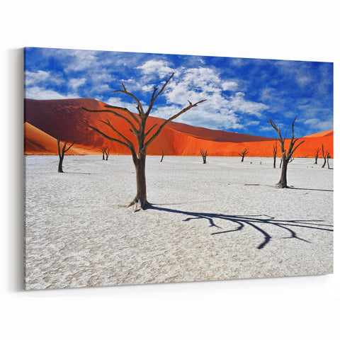 Striking Namibia Wall Art - African Desert Landscape & Photography Prints