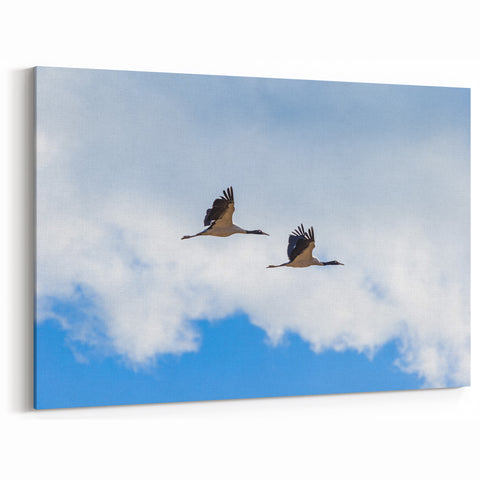 Elegant Bhutan Cranes Wall Art - Serene Sky Canvas Print