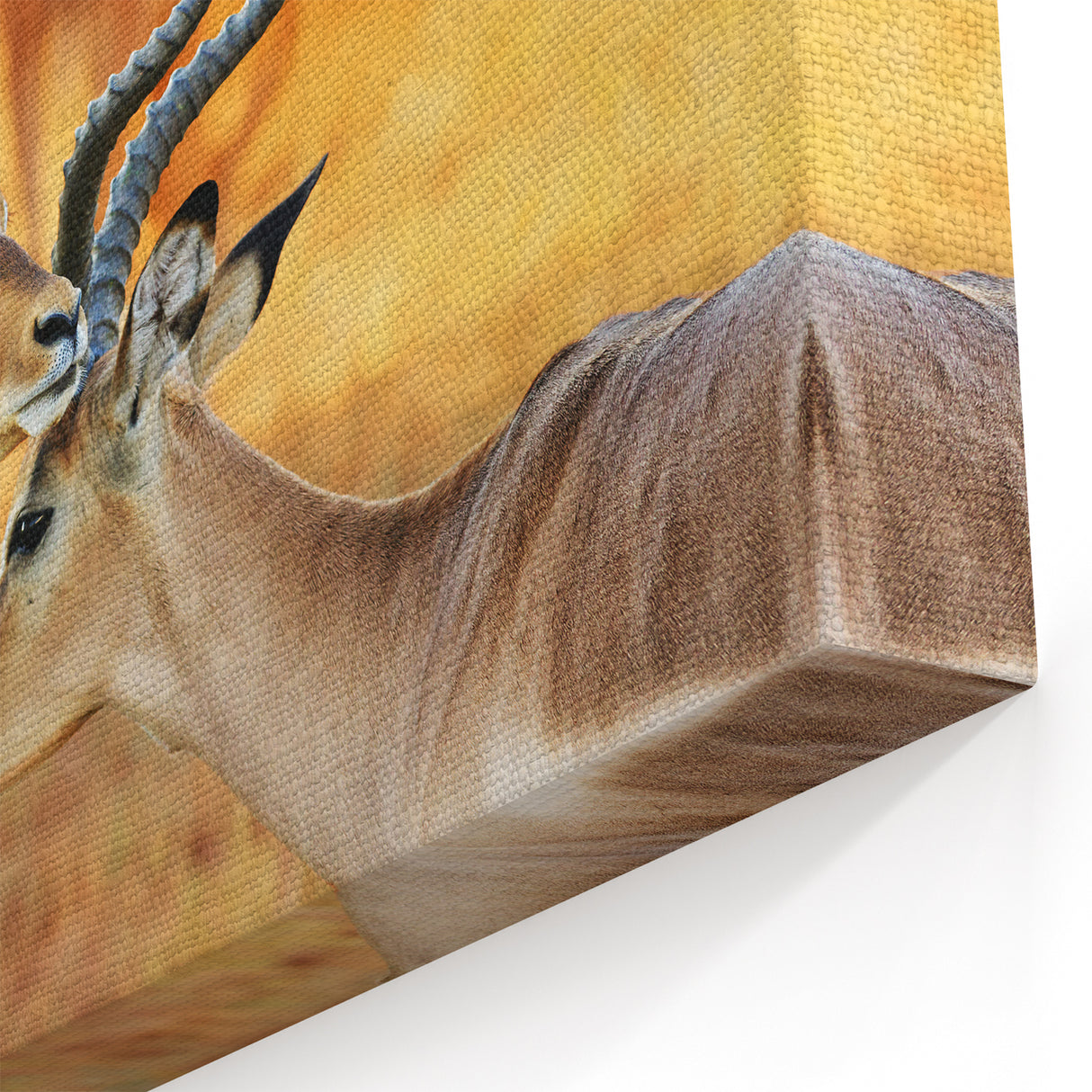 Elegant Namibia Wildlife Art - African Antelope Canvas & Photography Prints