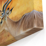 Elegant Namibia Wildlife Art - African Antelope Canvas & Photography Prints