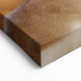 Elegant Namibia Wildlife Art - African Antelope Canvas & Photography Prints