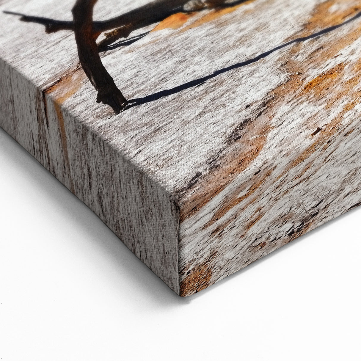 Vibrant Namibia Wall Art - African Desert Landscape & Scenic Prints