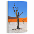 Minimalist Namibia Wall Art - African Desert Landscape & Photography