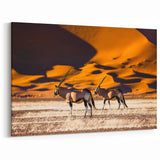 Majestic Namibia Wildlife Art - African Oryx Desert Photography Prints