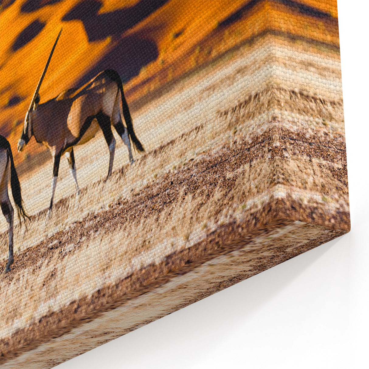 Majestic Namibia Wildlife Art - African Oryx Desert Photography Prints