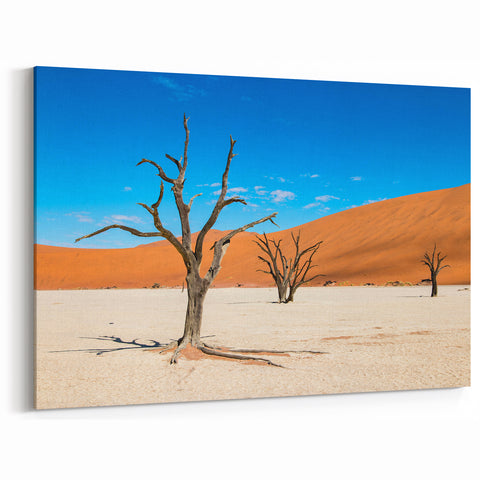 Serene Namibia Desert Art - African Landscape Photography & Prints