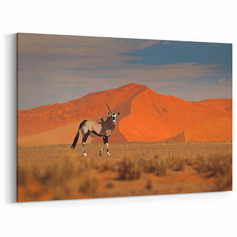 Wildlife of Namibia Art - Majestic Oryx Against Desert Dunes Canvas Print
