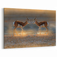 Namibian Landscape Photography - Graceful Antelopes in Golden Light Art