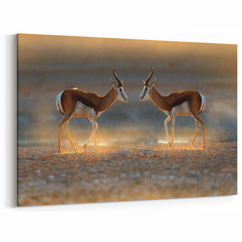Namibian Landscape Photography - Graceful Antelopes in Golden Light Art