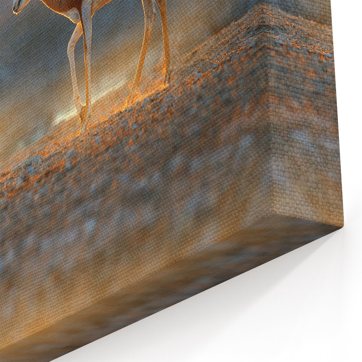 Namibian Landscape Photography - Graceful Antelopes in Golden Light Art