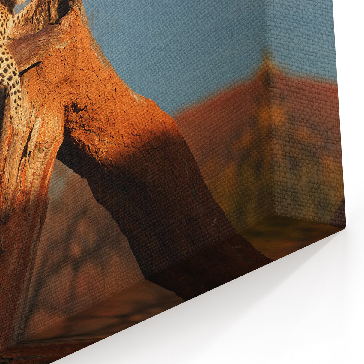 Wildlife of Namibia Art - Majestic Leopard Resting on Tree Branch Print