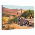 Namibia Wall Art - Resting Oryx Amidst Desert and Greenery Canvas Print