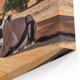 Namibia Wall Art - Resting Oryx Amidst Desert and Greenery Canvas Print