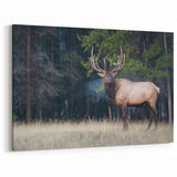 Alberta Park Nature Art - Majestic Elk in Jasper National Park Canvas Print