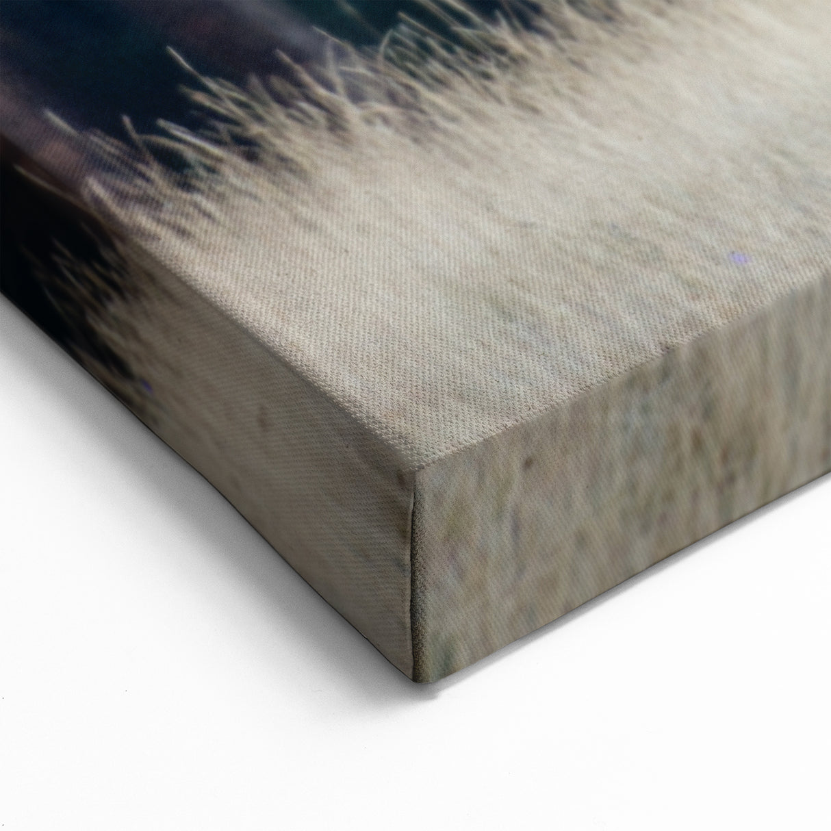 Alberta Park Nature Art - Majestic Elk in Jasper National Park Canvas Print