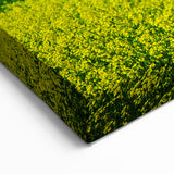 Alberta Bright Canola  Art - Landscape Bright Canola Field with Rocky Mountain Backdrop