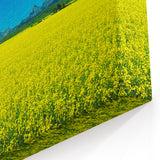 Alberta Bright Canola  Art - Landscape Bright Canola Field with Rocky Mountain Backdrop