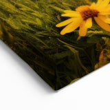 Alberta Wildflower Meadow Art - Sunlit Mountain Landscape Photography